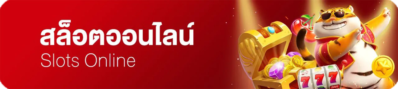 photo_2025-11-13_16-04-46